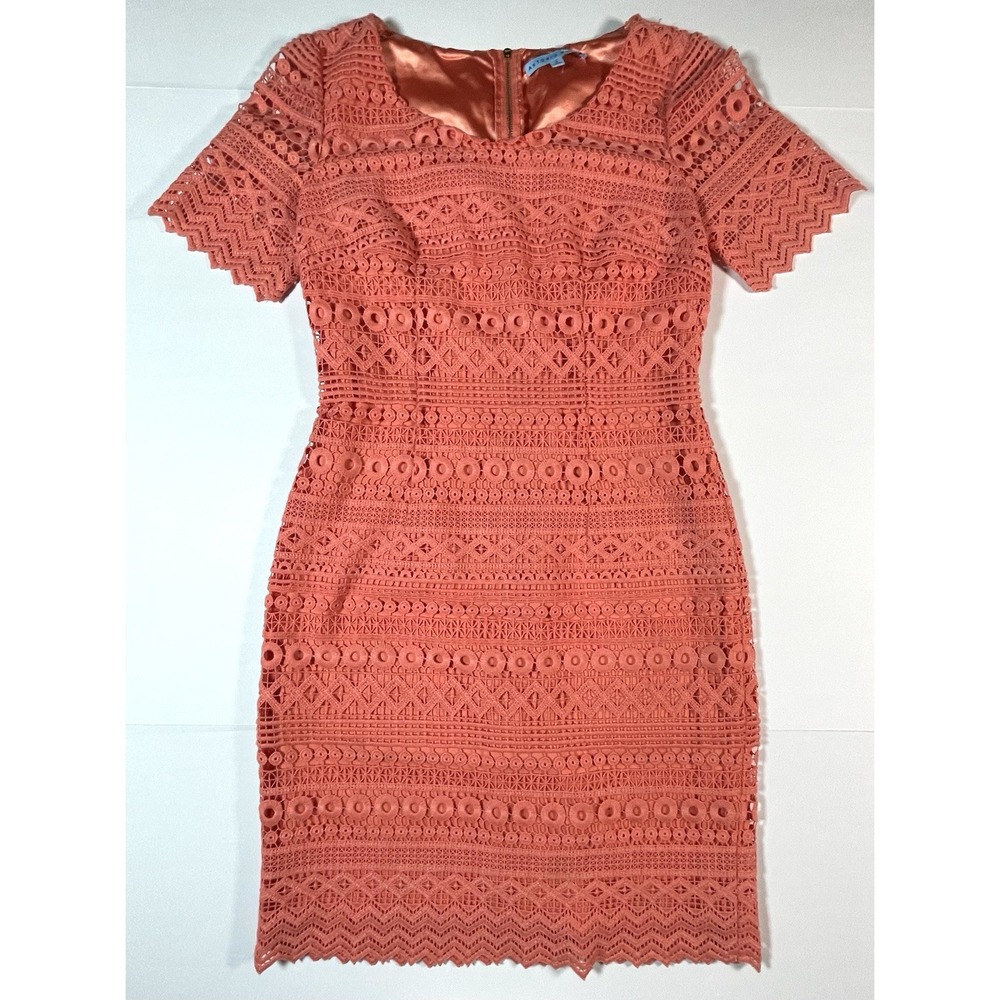 Antonio Melanie Coral Lined Embroidered Cinched Waist Midi Dress Stretch Size 2